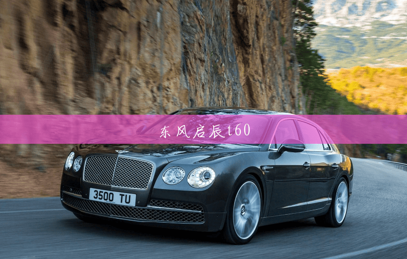 东风启辰t60 东风启辰t60