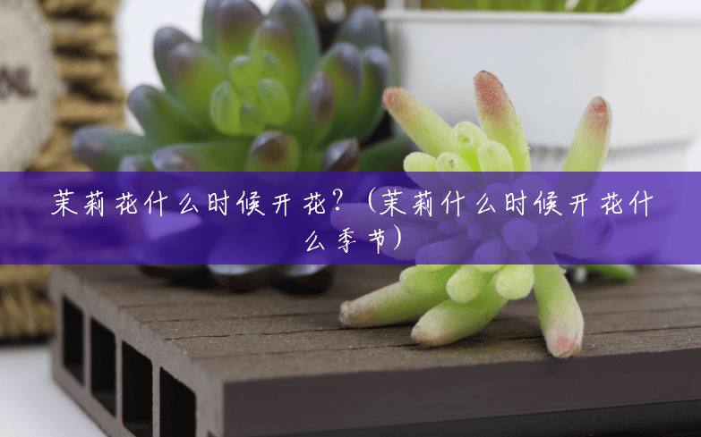 茉莉花什么时候开花?(茉莉什么时候开花什么季节) 茉莉花什么时候开花?(茉莉什么时候开花什么季节)