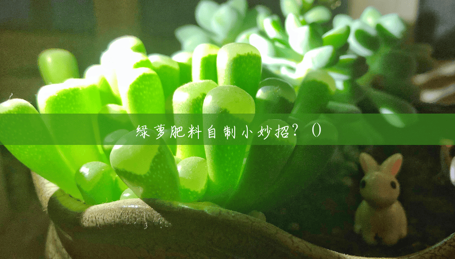 绿萝肥料自制小妙招?() 绿萝肥料自制小妙招?()