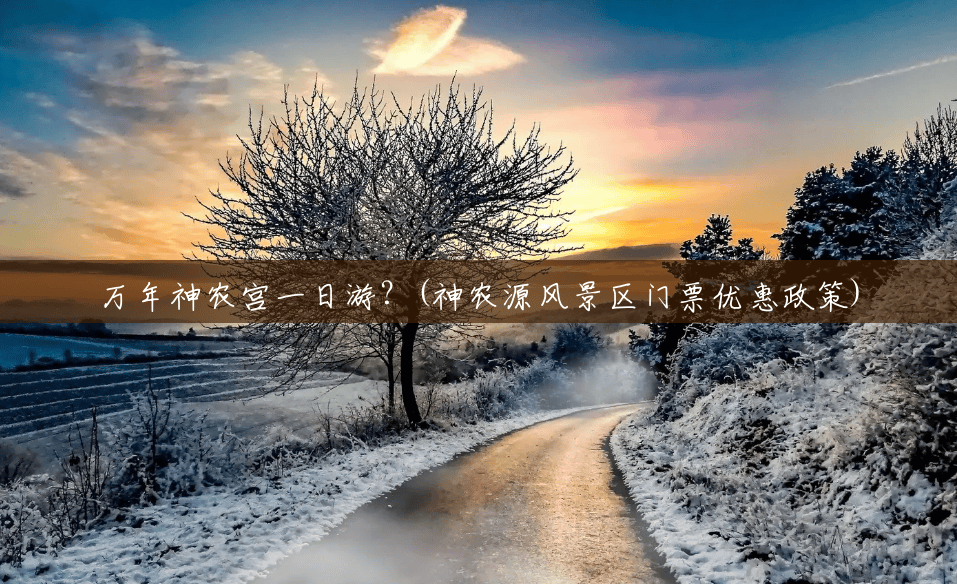 万年神农宫一日游？(神农源风景区门票优惠政策)