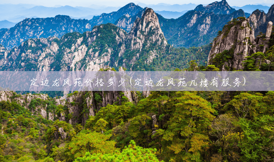 定边龙凤苑价格多少(定边龙凤苑几楼有服务)