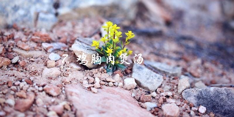 7. 鸡胸肉煲汤 7. 鸡胸肉煲汤