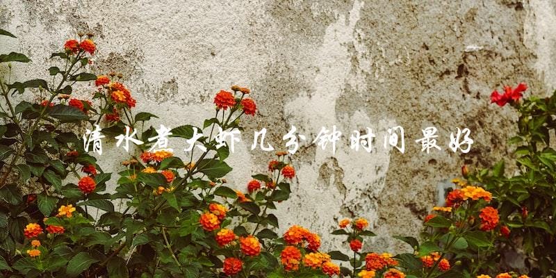清水煮大虾最佳时间:几分钟最好? 清水煮大虾最佳时间:几分钟最好?