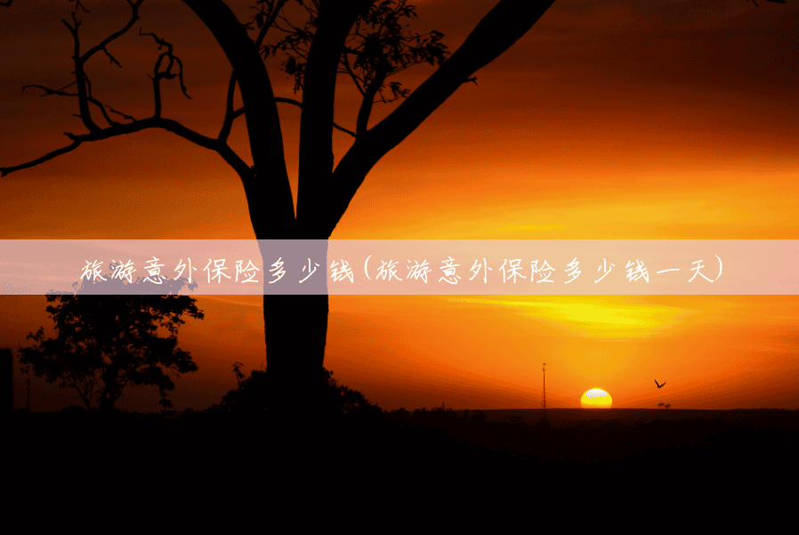 旅游意外保险多少钱(旅游意外保险多少钱一天) 旅游意外保险多少钱(旅游意外保险多少钱一天)