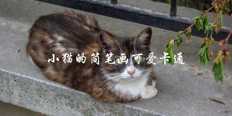 如何画出可爱卡通风格的小猫简笔画? 如何画出可爱卡通风格的小猫简笔画?