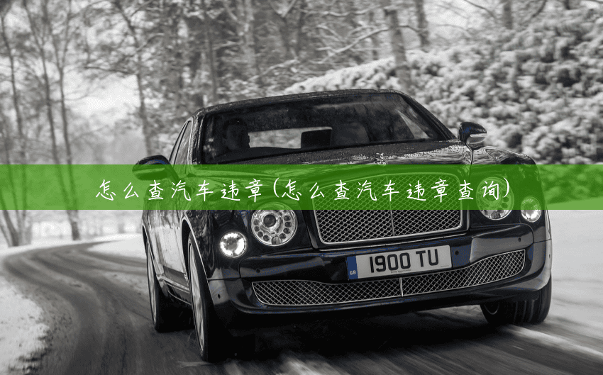 怎么查汽车违章(怎么查汽车违章查询)