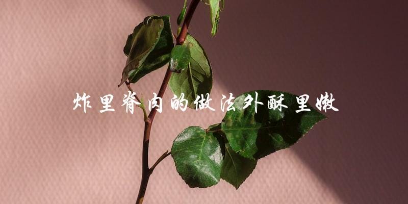 教你炸出外酥里嫩的完美里脊肉！