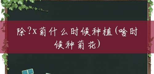 除?x菊什么时候种植(啥时候种菊花)