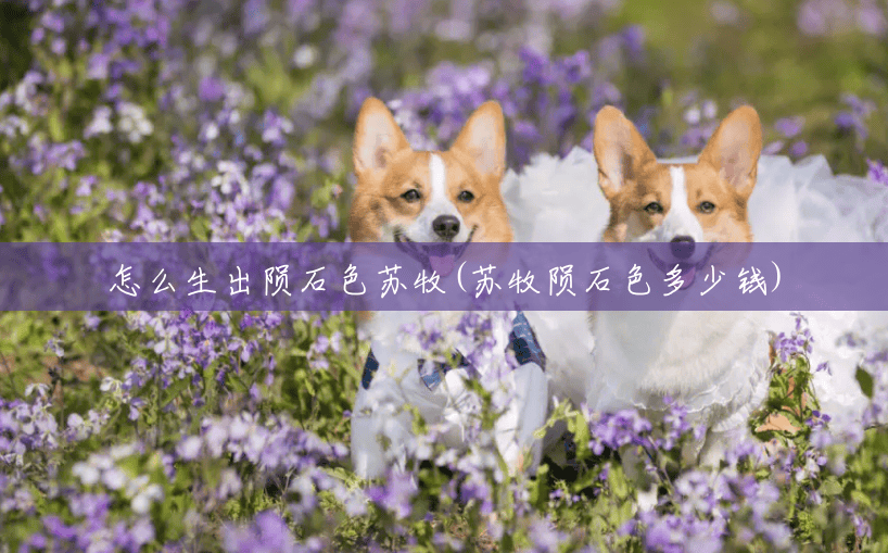 怎么生出陨石色苏牧(苏牧陨石色多少钱)