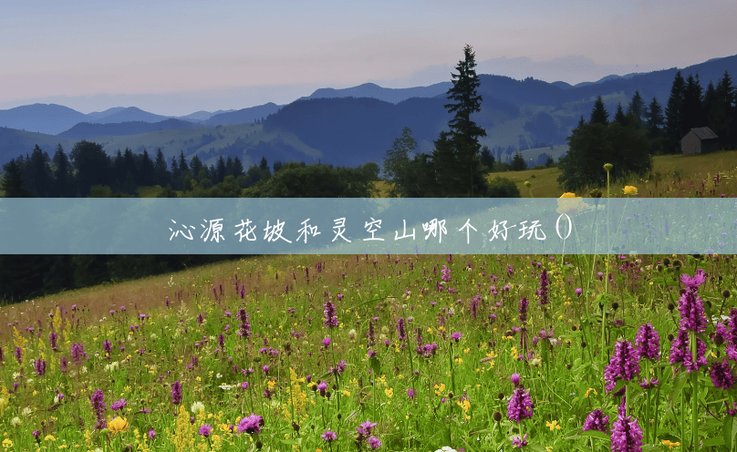 沁源花坡和灵空山哪个好玩() 沁源花坡和灵空山哪个好玩()