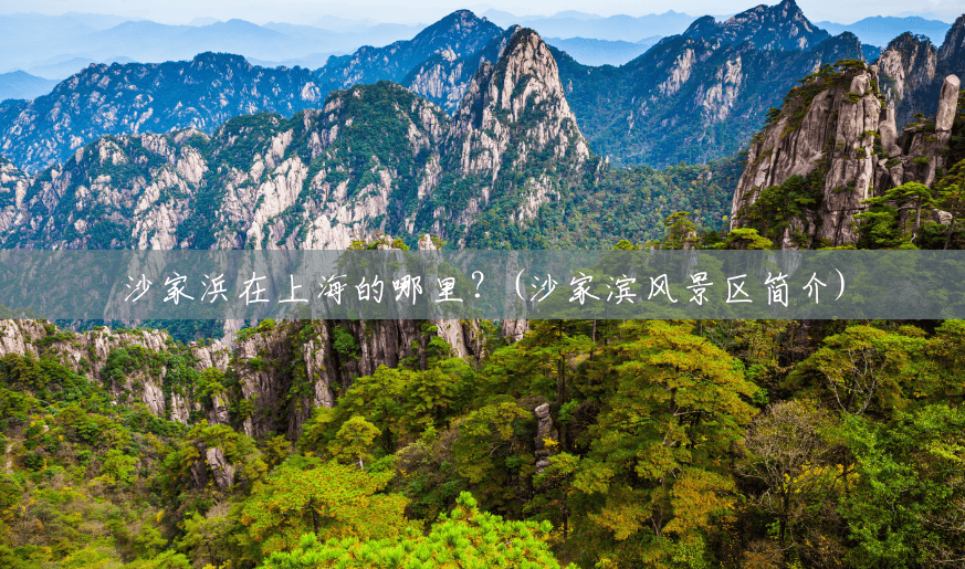 沙家浜在上海的哪里?(沙家滨风景区简介) 沙家浜在上海的哪里?(沙家滨风景区简介)