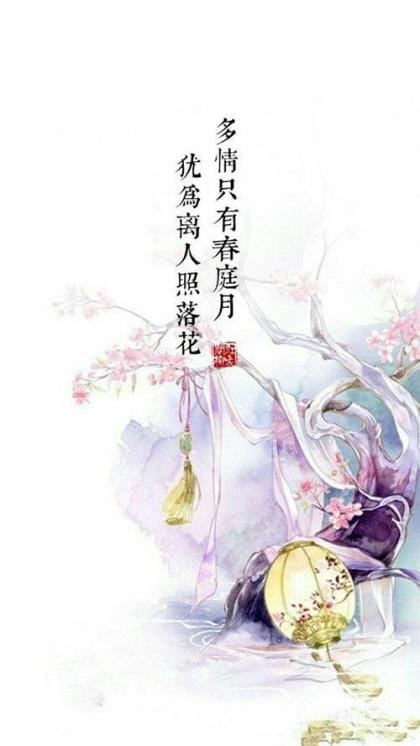 新年说说大全2023年最新