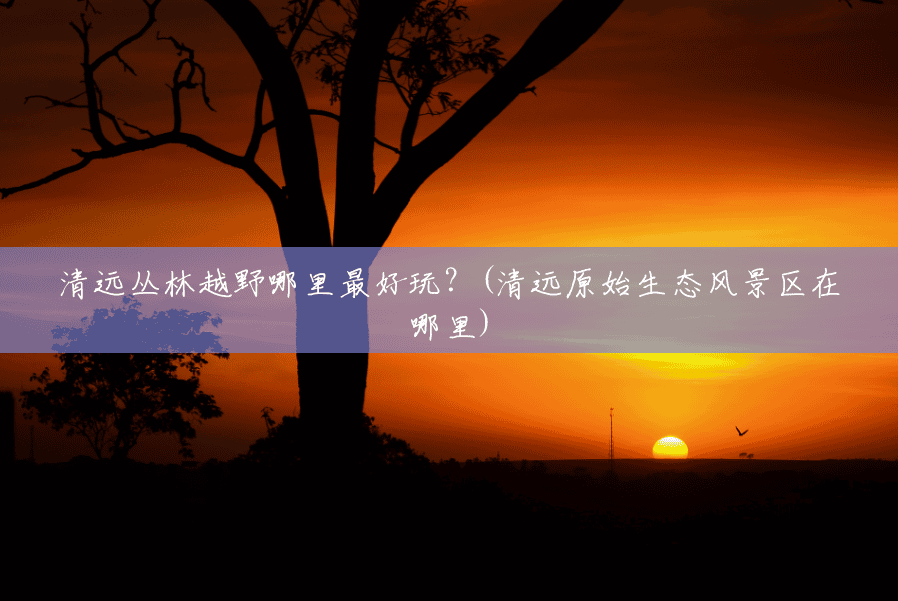 清远丛林越野哪里最好玩?(清远原始生态风景区在哪里) 清远丛林越野哪里最好玩?(清远原始生态风景区在哪里)