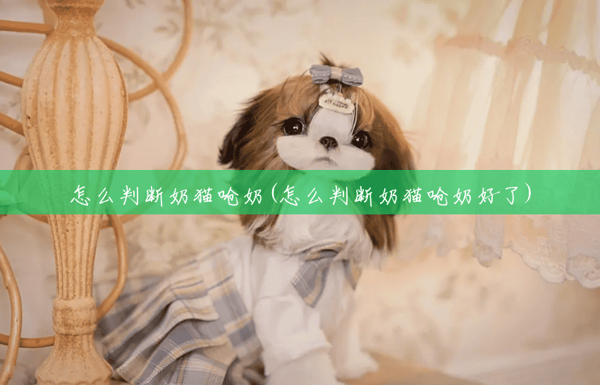 怎么判断奶猫呛奶(怎么判断奶猫呛奶好了) 怎么判断奶猫呛奶(怎么判断奶猫呛奶好了)