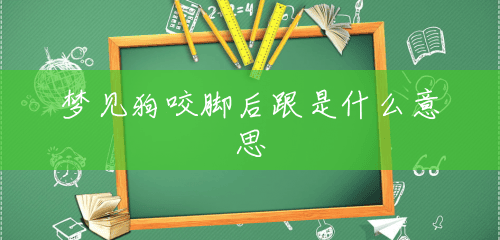 梦见狗咬脚后跟是什么意思 梦见狗咬脚后跟是什么意思