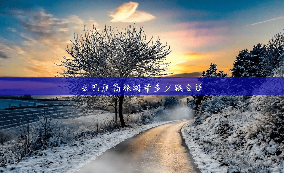 去巴厘岛旅游带多少钱合适