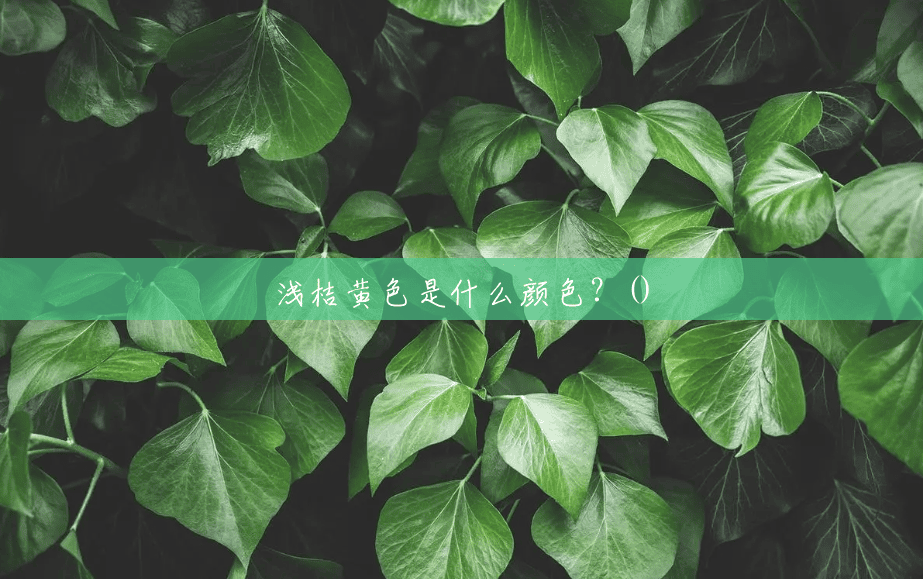 浅桔黄色是什么颜色?() 浅桔黄色是什么颜色?()