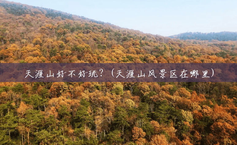 天涯山好不好玩?(天涯山风景区在哪里) 天涯山好不好玩?(天涯山风景区在哪里)