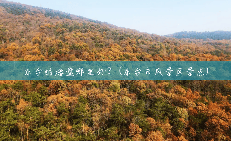 东台的楼盘哪里好?(东台市风景区景点) 东台的楼盘哪里好?(东台市风景区景点)