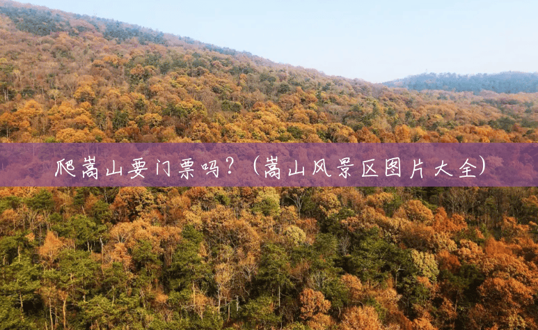 爬嵩山要门票吗?(嵩山风景区图片大全) 爬嵩山要门票吗?(嵩山风景区图片大全)