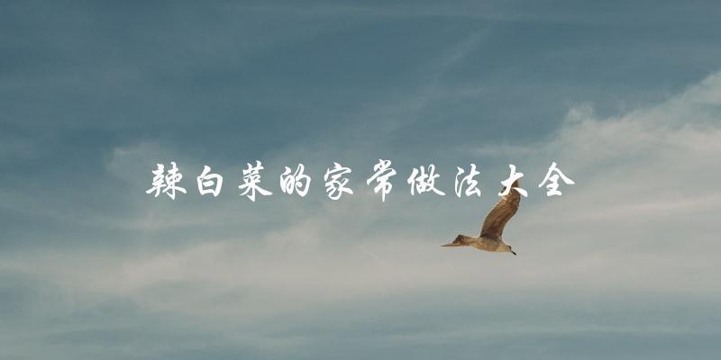 辣白菜的家常做法大全 辣白菜的家常做法大全