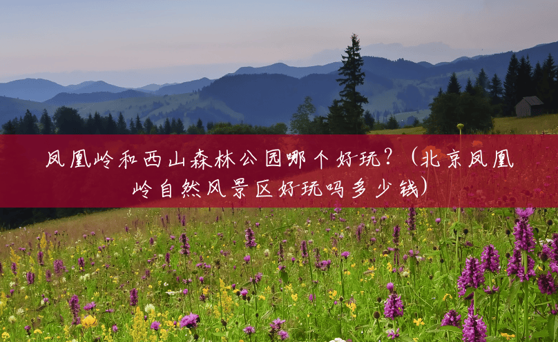 凤凰岭和西山森林公园哪个好玩?(北京凤凰岭自然风景区好玩吗多少钱) 凤凰岭和西山森林公园哪个好玩?(北京凤凰岭自然风景区好玩吗多少钱)