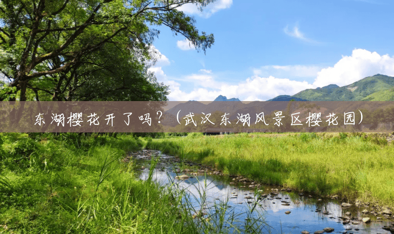 东湖樱花开了吗?(武汉东湖风景区樱花园) 东湖樱花开了吗?(武汉东湖风景区樱花园)