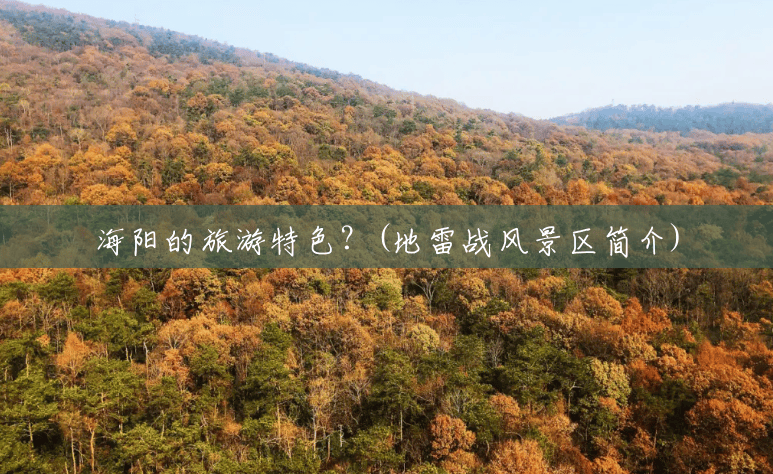 海阳的旅游特色?(地雷战风景区简介) 海阳的旅游特色?(地雷战风景区简介)