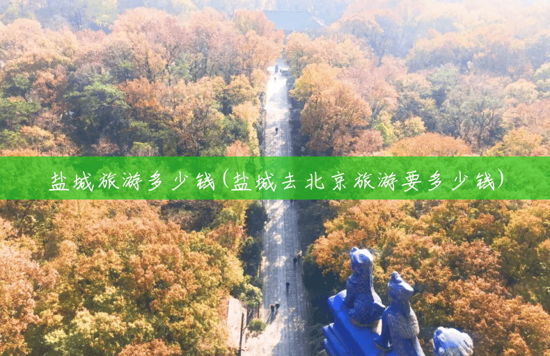 盐城旅游多少钱(盐城去北京旅游要多少钱)