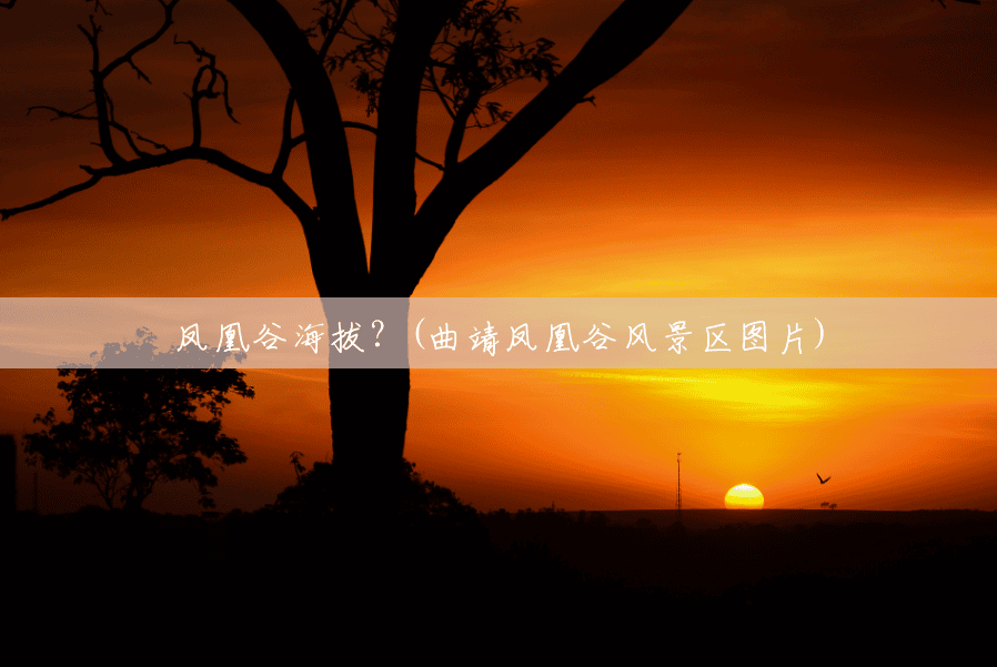 凤凰谷海拔?(曲靖凤凰谷风景区图片) 凤凰谷海拔?(曲靖凤凰谷风景区图片)