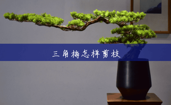 三角梅怎样剪枝 三角梅怎样剪枝