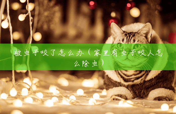 被虫子咬了怎么办(家里有虫子咬人怎么除虫) 被虫子咬了怎么办(家里有虫子咬人怎么除虫)