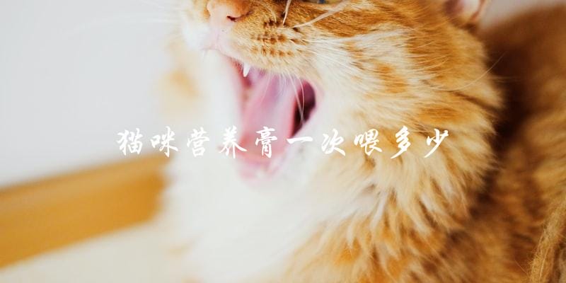 猫咪营养膏一次应该喂多少? 猫咪营养膏一次应该喂多少?