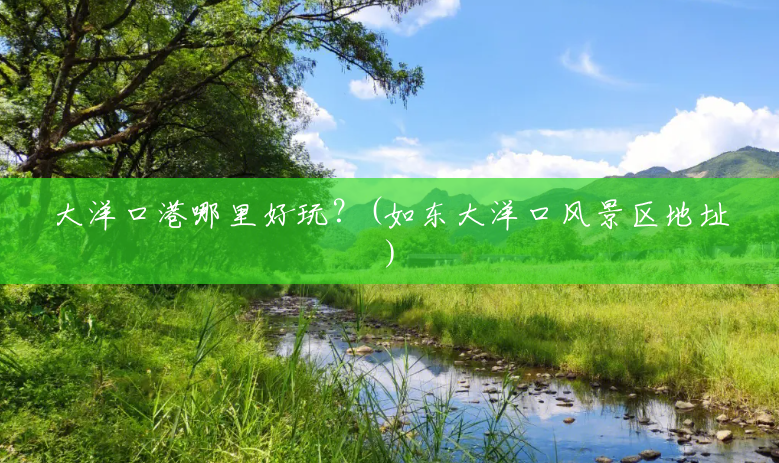 大洋口港哪里好玩?(如东大洋口风景区地址) 大洋口港哪里好玩?(如东大洋口风景区地址)