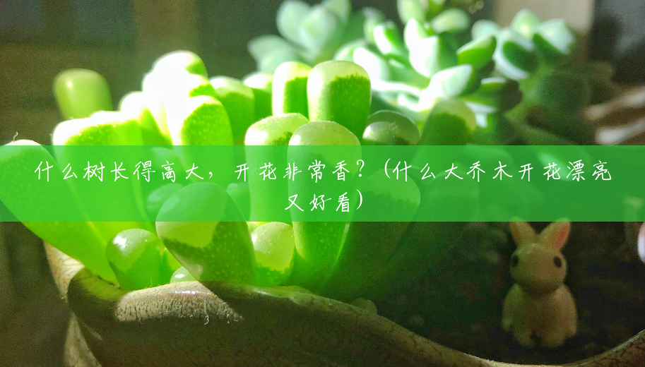 什么树长得高大,开花非常香?(什么大乔木开花漂亮又好看) 什么树长得高大,开花非常香?(什么大乔木开花漂亮又好看)