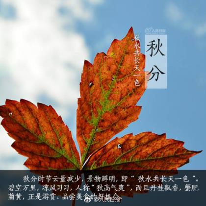 形容人伤心难过的句子