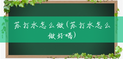 苏打水怎么做(苏打水怎么做好喝) 苏打水怎么做(苏打水怎么做好喝)