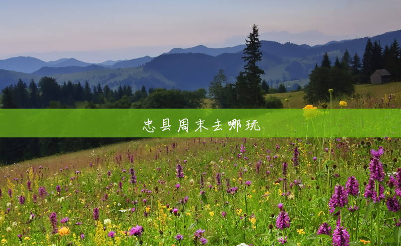 忠县周末去哪玩 忠县周末去哪玩