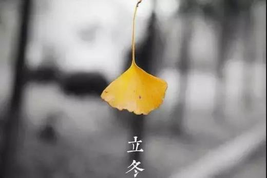 卑微的爱情伤感句子短