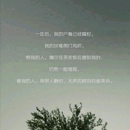 描写很感动的句子