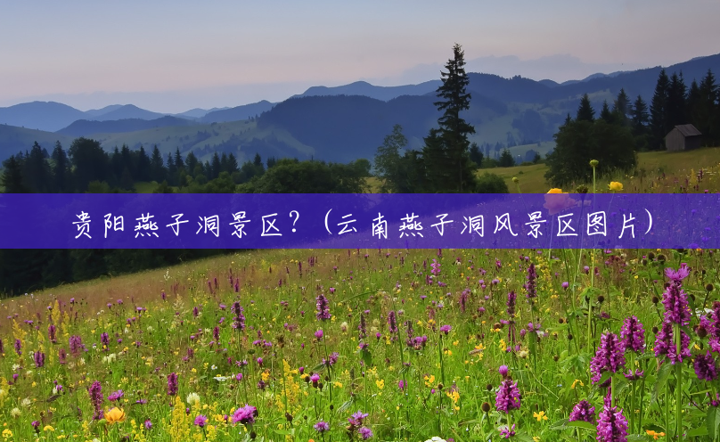 贵阳燕子洞景区?(云南燕子洞风景区图片) 贵阳燕子洞景区?(云南燕子洞风景区图片)
