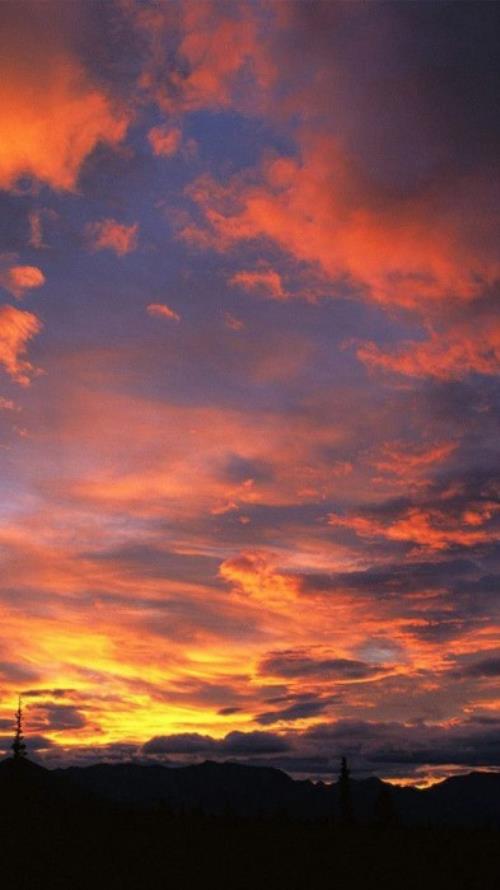 2023年除夕微信祝福语