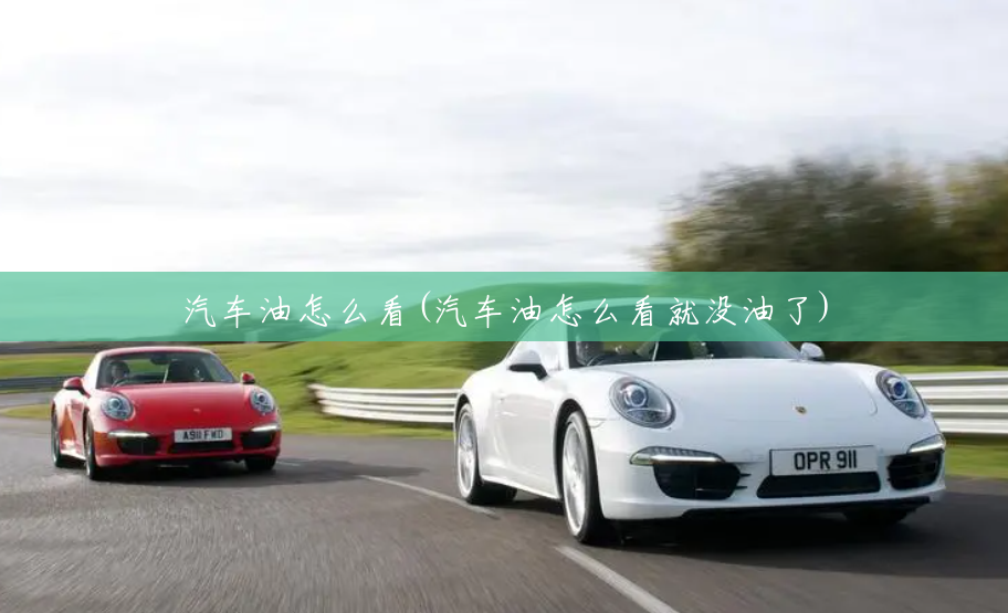 汽车油怎么看(汽车油怎么看就没油了)