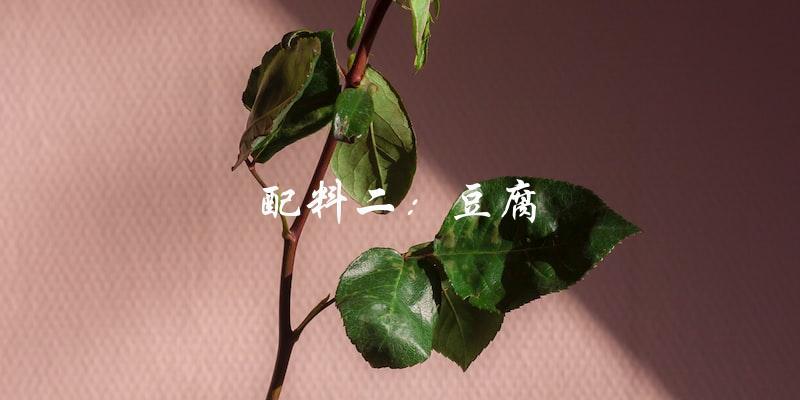 配料二:豆腐 配料二:豆腐
