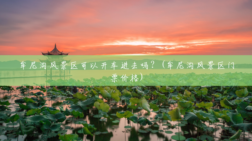 牟尼沟风景区可以开车进去吗？(牟尼沟风景区门票价格)