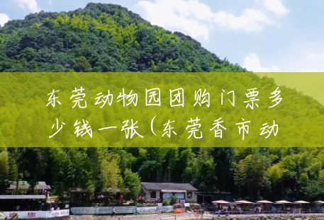 东莞动物园团购门票多少钱一张(东莞香市动物园门票团购) 东莞动物园团购门票多少钱一张(东莞香市动物园门票团购)