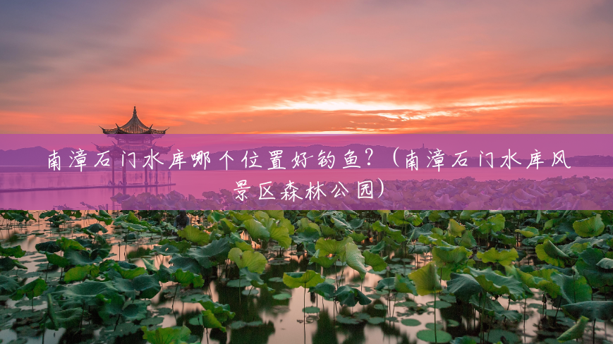 南漳石门水库哪个位置好钓鱼？(南漳石门水库风景区森林公园)