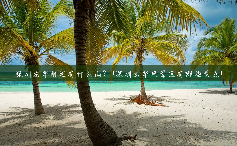 深圳龙华附近有什么山?(深圳龙华风景区有哪些景点) 深圳龙华附近有什么山?(深圳龙华风景区有哪些景点)