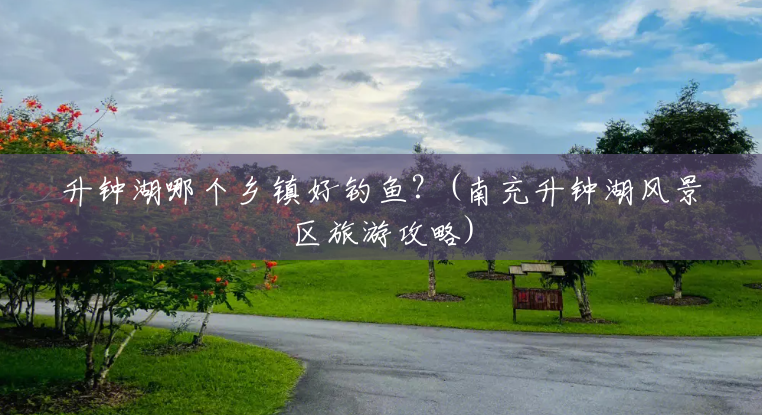 升钟湖哪个乡镇好钓鱼？(南充升钟湖风景区旅游攻略)