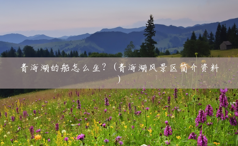 青海湖的船怎么坐?(青海湖风景区简介资料) 青海湖的船怎么坐?(青海湖风景区简介资料)